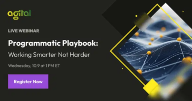 2025 Programmatic Playbook: Working smarter not harder