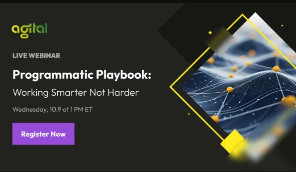 2025 Programmatic Playbook: Working smarter not harder